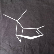 Load image into Gallery viewer, Terpene 2d chemical structure - print on back